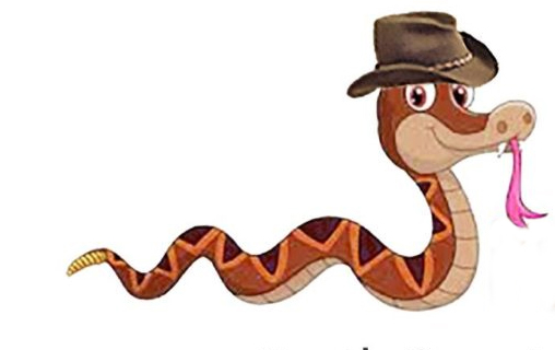 Snake Wranglers